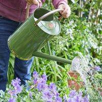 Watering Can Sage 9L - image 2