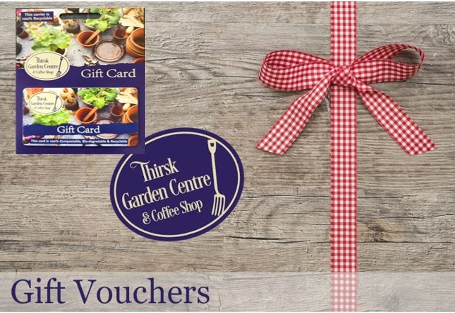 Gift Vouchers