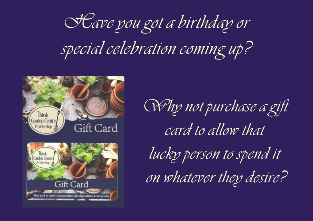 Gift Vouchers