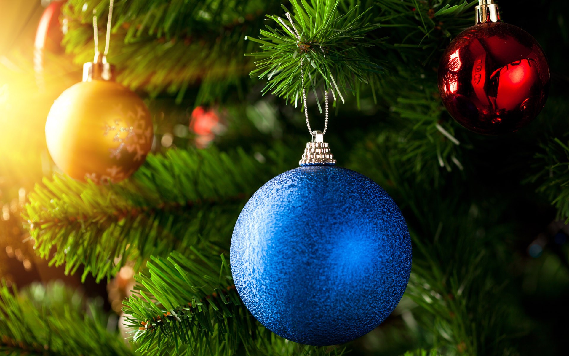 Christmas decorations at Thirsk Garden Centre