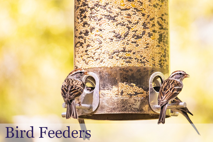 Bird Feeders