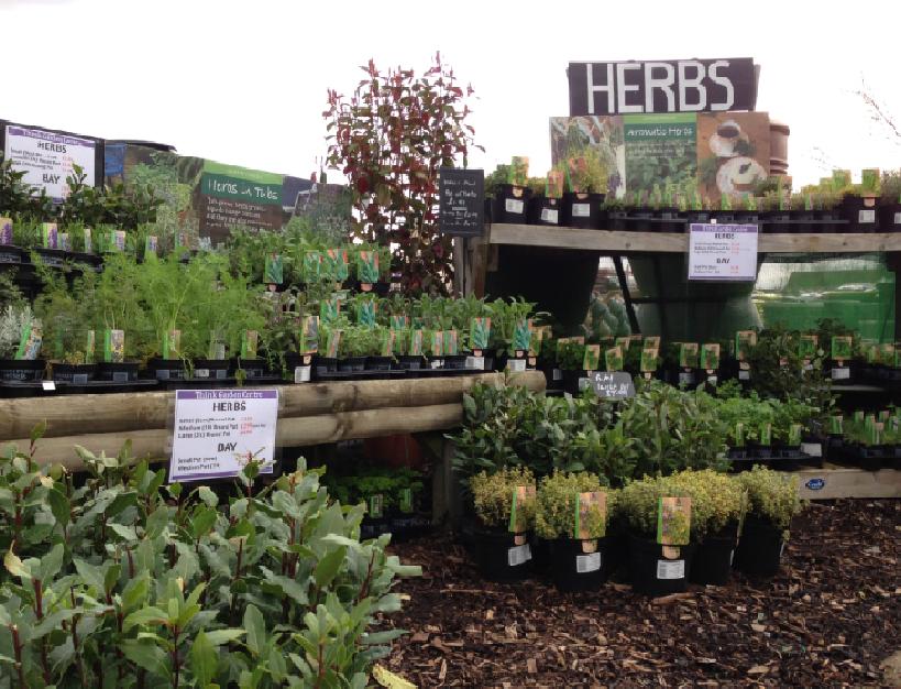 Garden centre Northallerton Thirsk Garden Centre