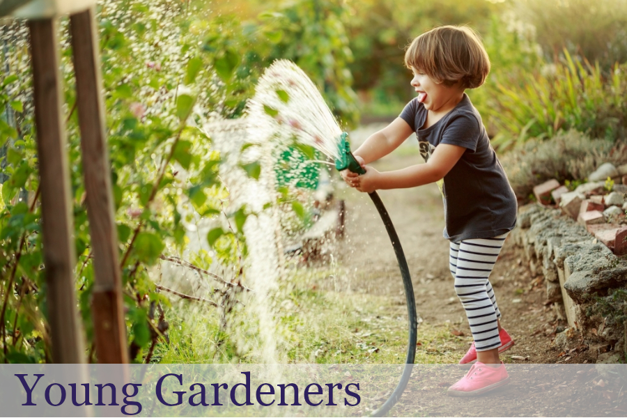 Young Gardener