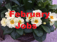 February Jobs