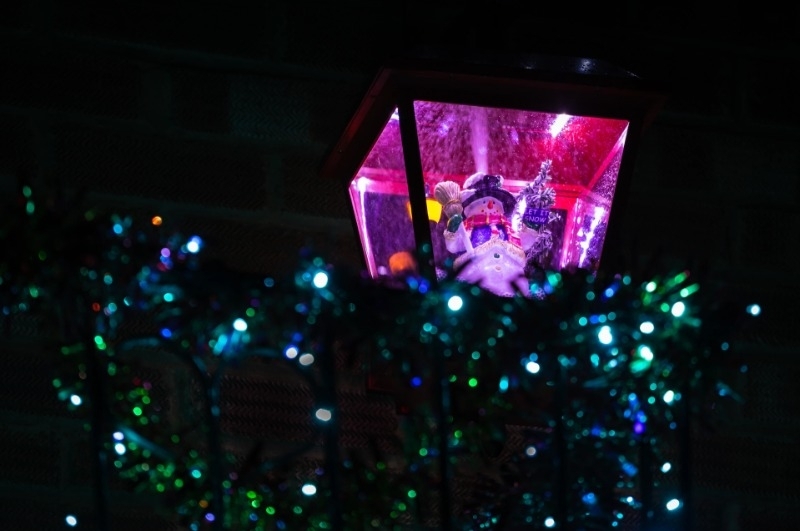 Guide to energyefficient light your garden for Christmas Thirsk