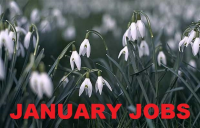 Jobs for the Month - January
