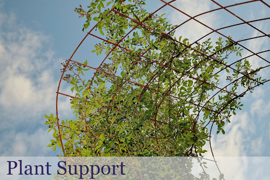 Plant Support