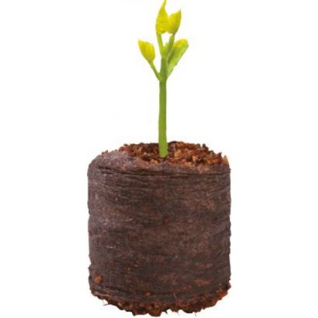 20 Coir Growing Pellets - image 1