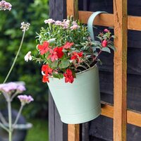 6” Fence & Balcony Hanging Pot - Sage