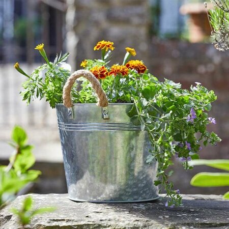 9” RUSTIC ROPE HANDLED PLANTER
