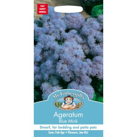 UK/FO-AGERATUM Blue Mink - image 1