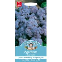 UK/FO-AGERATUM Blue Mink - image 1