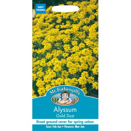 UK/FO-ALYSSUM Gold Dust - image 1