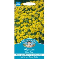 UK/FO-ALYSSUM Gold Dust - image 1