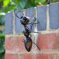 Ant Medium Wall Hanger - image 2