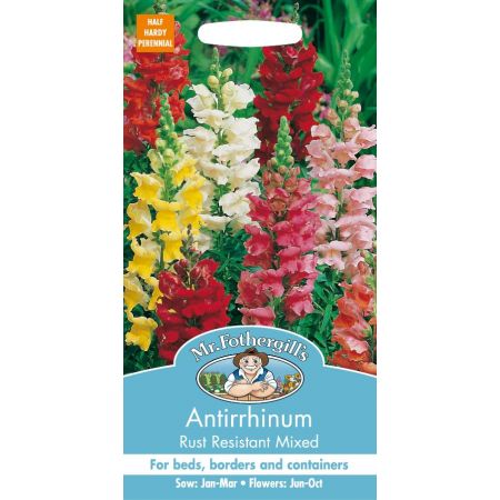 UK/FO-ANTIRRHINUM Rust Resistant Mixed - image 1