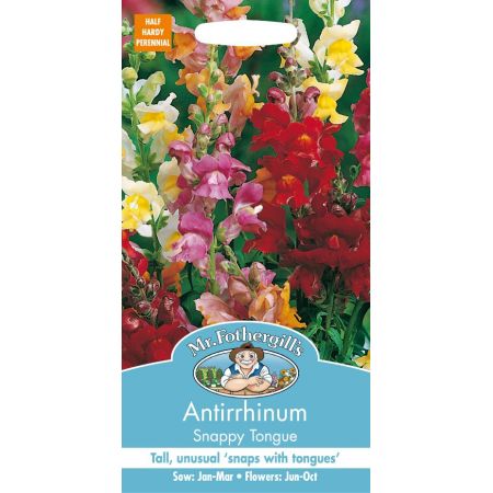 UK/FO-ANTIRRHINUM Snappy Tongue - image 1