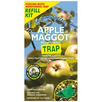APPLE MAGGOT TRAP REFILL GROWING SUCCESS - image 1