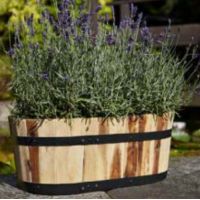 Applewood Trough Planter Large