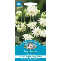 UK/FO-AQUILEGIA Lime Sorbet - image 1