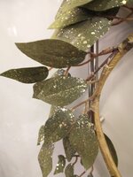 Artificial Leaf Wreath 48Cm - image 2