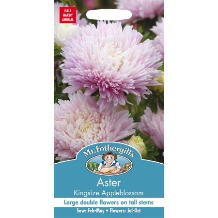 UK/FO-ASTER Kingsize Appleblossom - image 1