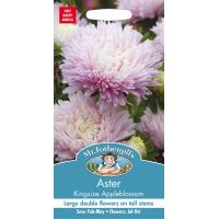 UK/FO-ASTER Kingsize Appleblossom - image 1