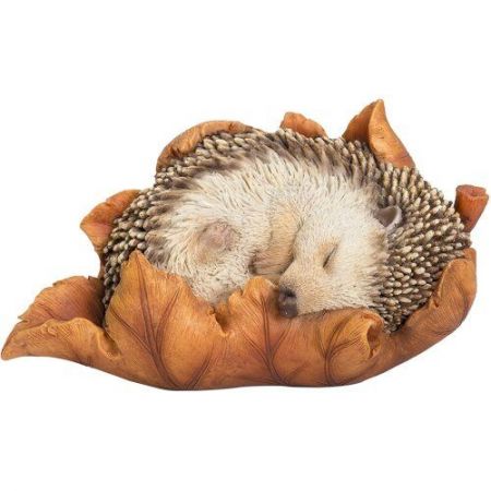 Baby Hedgehog in Leaf F