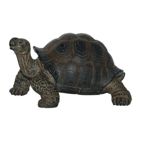 Baby Tortoise PetPal F