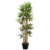 Bamboo 120cm - image 2