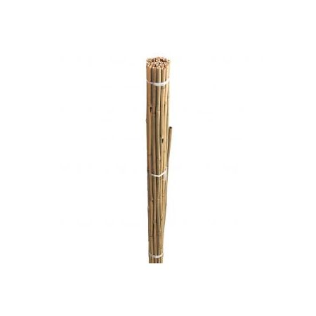 Bamboo Cane 4ft Pack Of 20