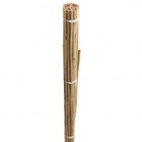 Bamboo Cane 6Ft Pack Of 10