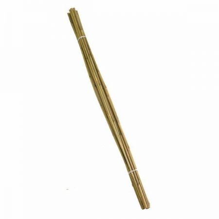 Bamboo Cane 7ft 2.1m 10 Pack