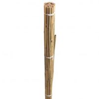 Bamboo Cane 8 Ft Pack Of 10