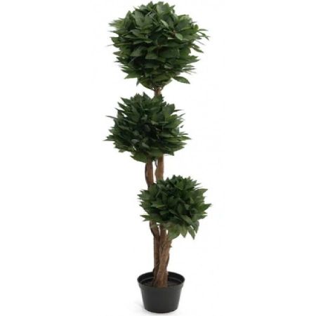 Bay Tree Triple Ball 150cm