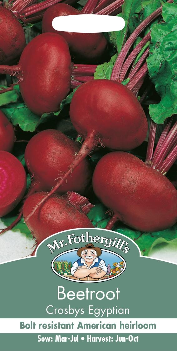 Beetroot Crosbys Egyptian Thirsk Garden Centre