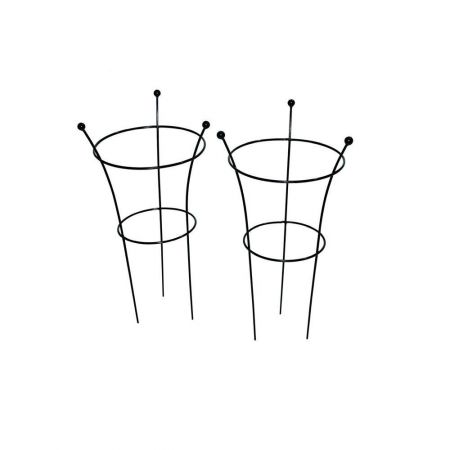 Botanical Herbaceous Plant Support Large Twin Pack