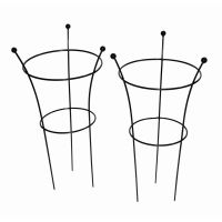 Botanical Herbaceous Plant Support Small Twin Pack