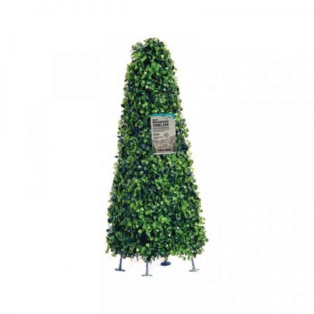 Boxwood Obelisk 60Cm - image 1