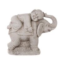 Boy On Elephant