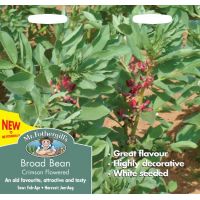 UK/FO-BROAD BEAN Crimson Flowered - image 1