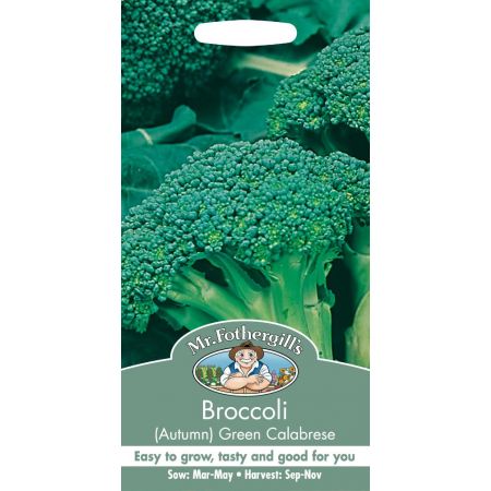 UK/FO-BROCCOLI (Autumn) Green Calabrese - image 1