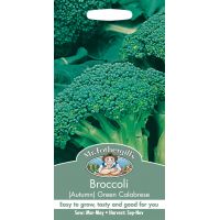 UK/FO-BROCCOLI (Autumn) Green Calabrese - image 1