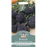 UK/FO-BROCCOLI (Sprouting) Summer Purple - image 2