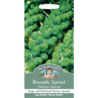 UK/FO-BRUSSELS SPROUT Evesham Special - image 2