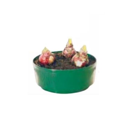 Bulb Bowl Green 6.5In.