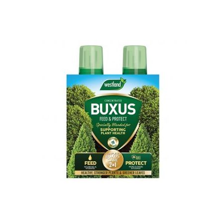 Buxus 2 in 1 Feed & Protect 2 X 500ml