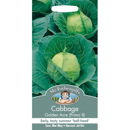 UK/FO-CABBAGE Golden Acre (Primo II) - image 1