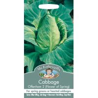 UK/FO-CABBAGE Offenham 2 (Flower of Spring) - image 1