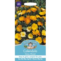 UK/FO-CALENDULA Daisy Mixed - image 1